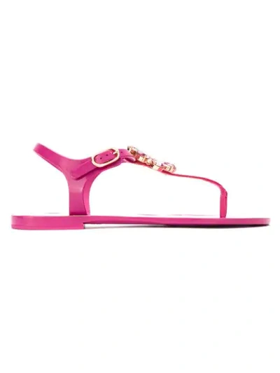 Shop Dolce & Gabbana Embellished Flat Sandals In Pink