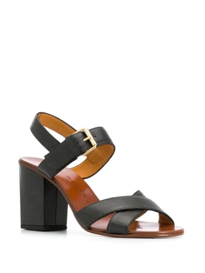 Shop Chie Mihara Block Heel Sandals In Black