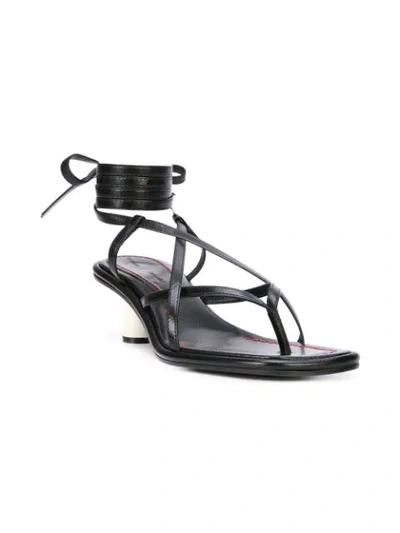 Shop Proenza Schouler Strappy Mid Heel Sandals In Black