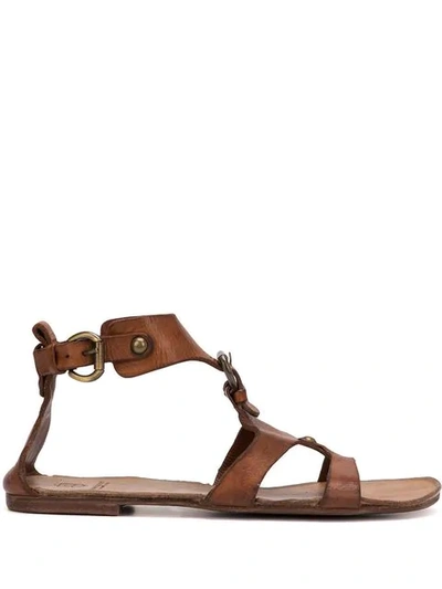 Shop Silvano Sassetti Gladiator Sandals In Brown