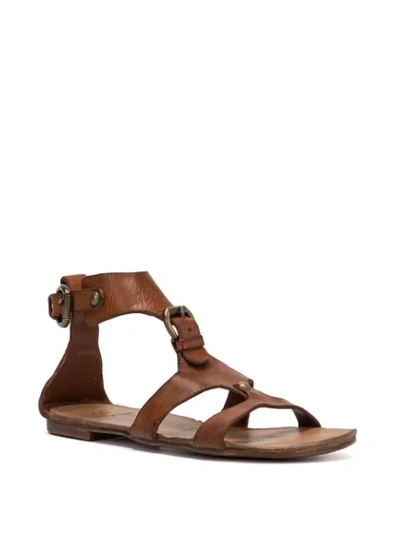 Shop Silvano Sassetti Gladiator Sandals In Brown