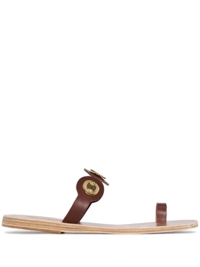 Shop Ancient Greek Sandals Evelina Flat Sandals In Brown