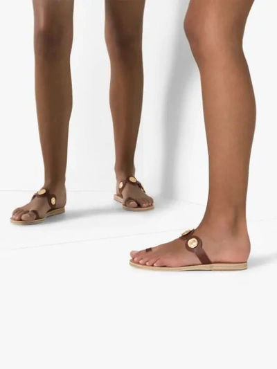 Shop Ancient Greek Sandals Evelina Flat Sandals In Brown