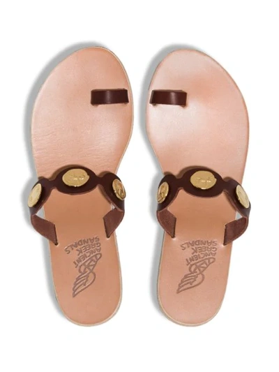 Shop Ancient Greek Sandals Evelina Flat Sandals In Brown