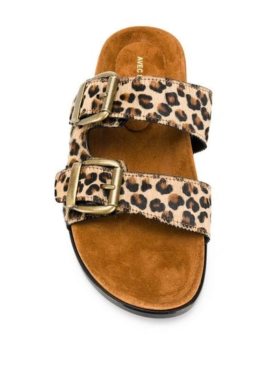 Shop Avec Modération Buckled Leopard Sandals In Neutrals