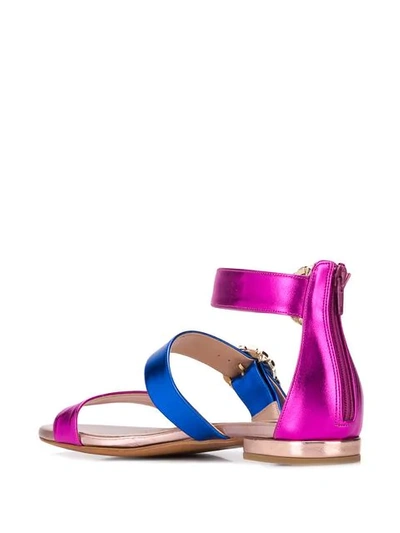 Shop Albano Embellished Buckle Sandals In Pink