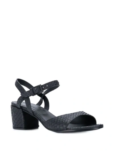 Shop Del Carlo Ankle Strap Sandals In Black