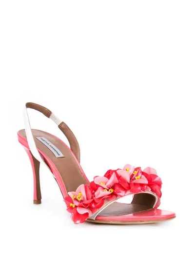 Shop Tabitha Simmons Follie Sandals In Pink