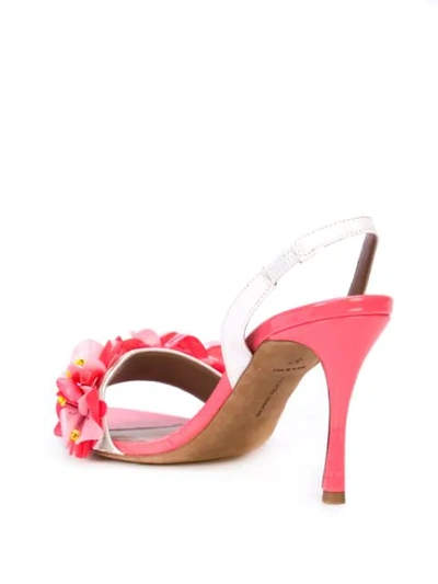 Shop Tabitha Simmons Follie Sandals In Pink
