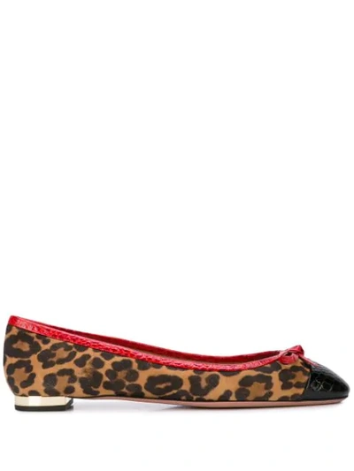 Shop Aquazzura Leopard Print Ballerinas In Brown