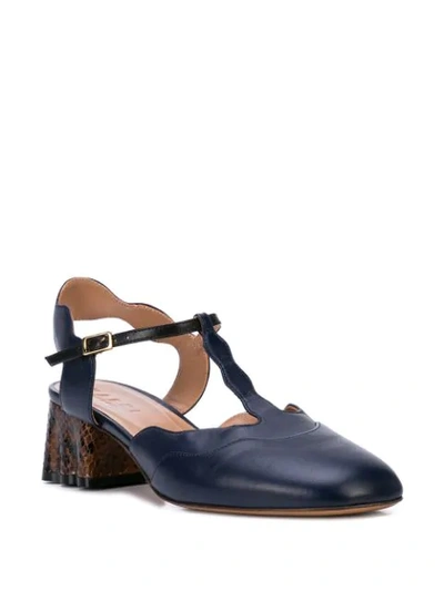 Shop Marni Teatro Pumps In Blue