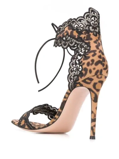 Shop Gianvito Rossi Lace Trim Leopard Sandals In Black