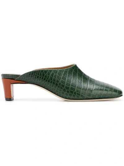 Shop Atp Atelier Tasso Crocodile Embossed Mules In Green