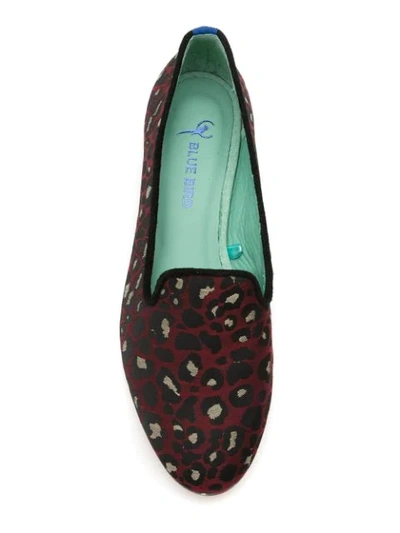 Shop Blue Bird Shoes Onça Colors Loafers In 0332 - Vermelho