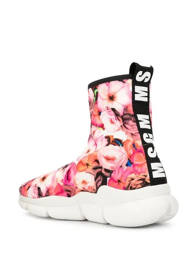 Shop Msgm Floral Print Sneakers In Pink