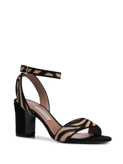 Shop Tabitha Simmons Leticia Zebra-print Sandals In Black