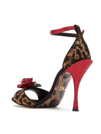 Shop Dolce & Gabbana Rose Appliqué Sandals In Multicolour
