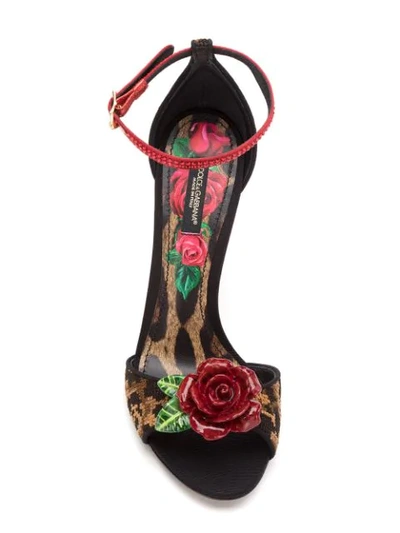 Shop Dolce & Gabbana Rose Appliqué Sandals In Multicolour