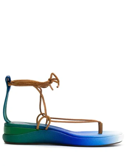 Shop Chloé Wave Sandals In Blue