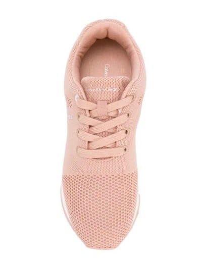 Shop Calvin Klein Jeans Est.1978 Tada Mesh Sneakers In Pink