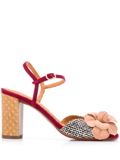 Shop Chie Mihara Biula Sandals In Neutrals