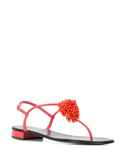 Shop Giuseppe Zanotti Flat Flower Sandals In Red