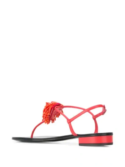 Shop Giuseppe Zanotti Flat Flower Sandals In Red