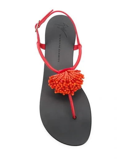 Shop Giuseppe Zanotti Flat Flower Sandals In Red