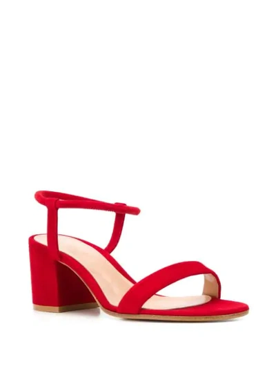 Shop Gianvito Rossi Open Toe Sandals In Red