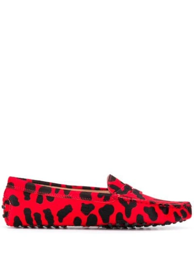 Shop Tod's Leopard Print Slippers In Red