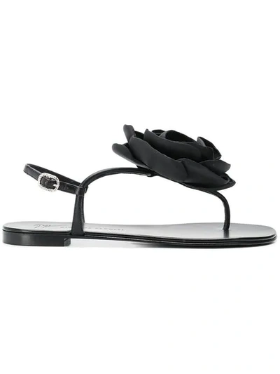 Shop Giuseppe Zanotti Flower Flat Sandals In Black