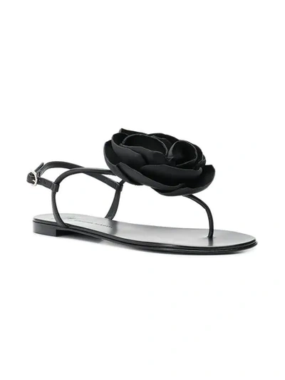 Shop Giuseppe Zanotti Flower Flat Sandals In Black