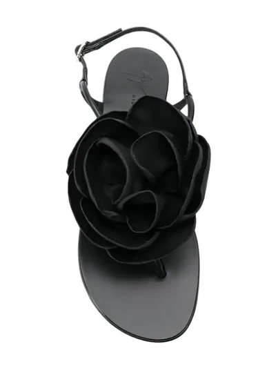 Shop Giuseppe Zanotti Flower Flat Sandals In Black
