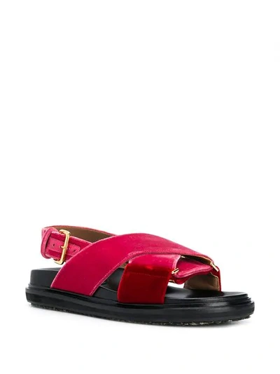 Shop Marni Fussbett Cross Sandals In Pink