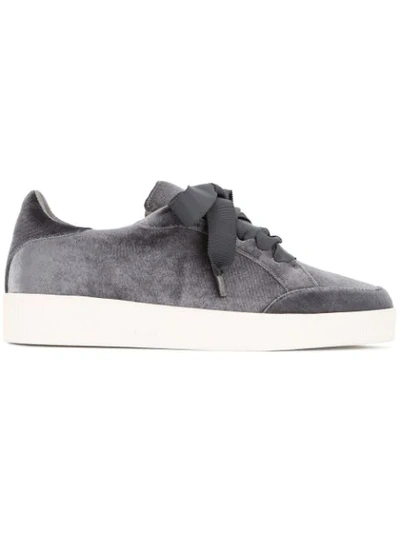 Shop Senso Austin Sneakers In Grey