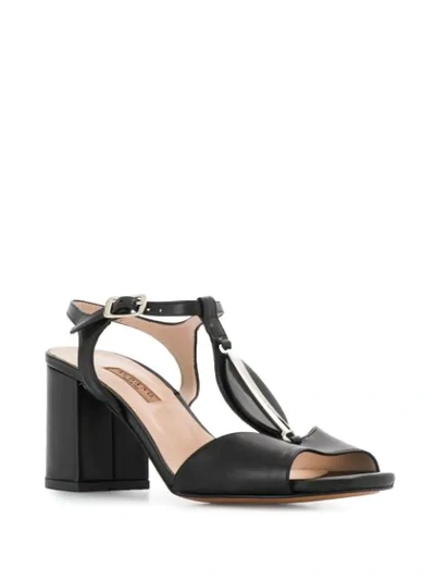 Shop Albano Oval Disc Sandals In Black