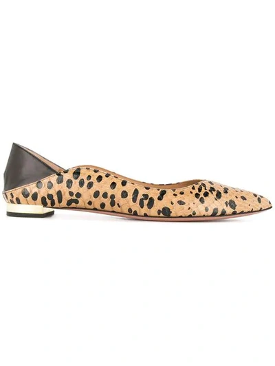 Shop Aquazzura Zen Ballerina Shoes In Brown