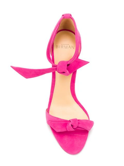 Shop Alexandre Birman Tie Fastening Sandals In Pink
