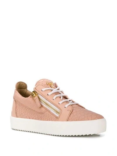 Shop Giuseppe Zanotti Nicki Sneakers In Pink