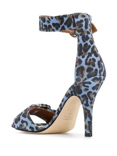 Shop Paris Texas Leopard Print Sandals In Blue