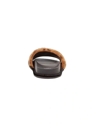 Shop Fendi Double F Pool Slides In Brown ,black