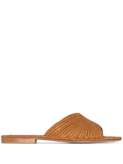 Shop Carrie Forbes Salon Raffia Flat Sandals In Brown