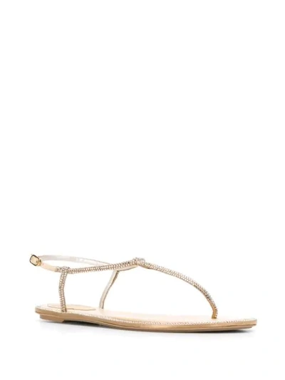 Shop René Caovilla Embellished Flat Sandals In Neutrals