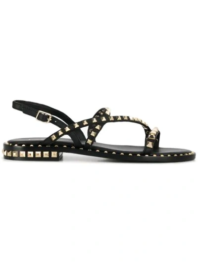 Shop Ash Brasil Sandals In Black