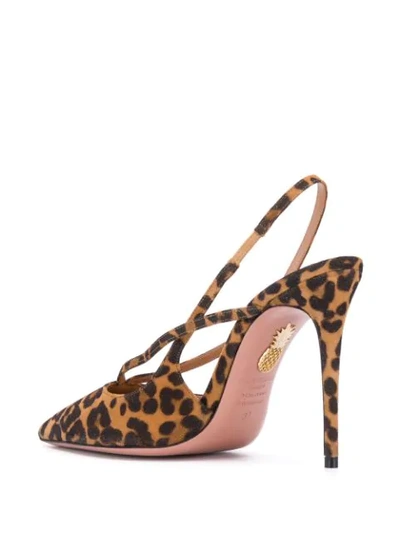 Shop Aquazzura Leopard Soul Pumps In Neutrals