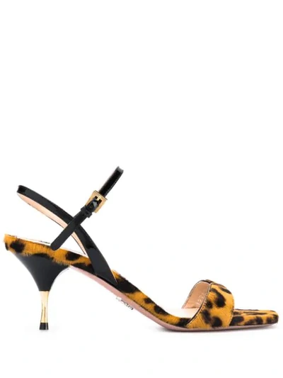 Shop Prada Leopard Print Strappy Sandals In Brown