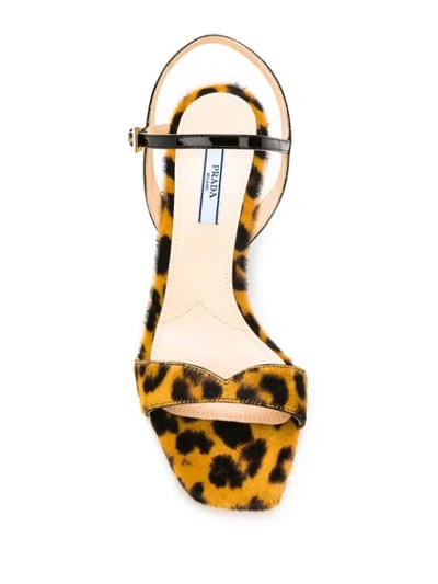 Shop Prada Leopard Print Strappy Sandals In Brown