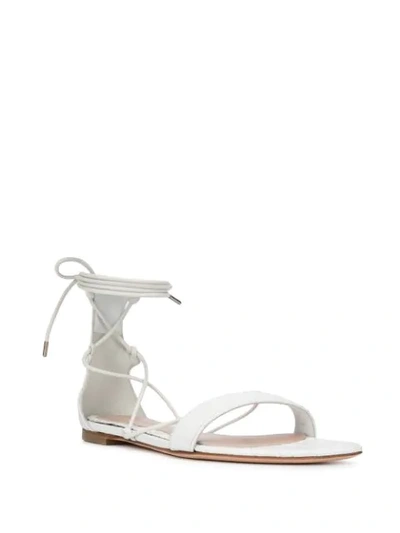 Shop Alexander Mcqueen Ankle Strap Flat Sandals In White