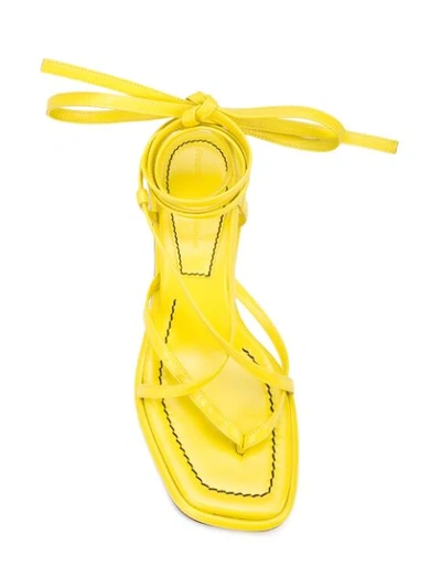 Shop Proenza Schouler Sandalen Mit Gewickeltem Knöchelriemen In Yellow