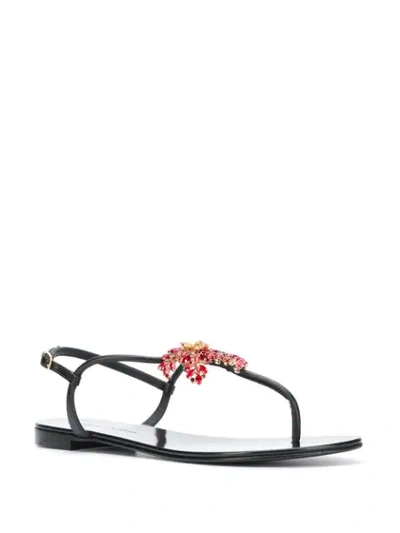 Shop Giuseppe Zanotti Embellished Hollie Sandals In Black